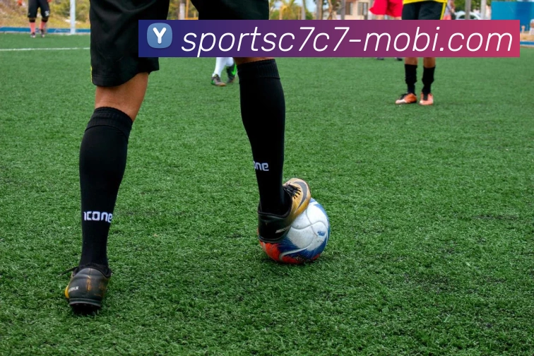 C7C7娱乐平台生态图